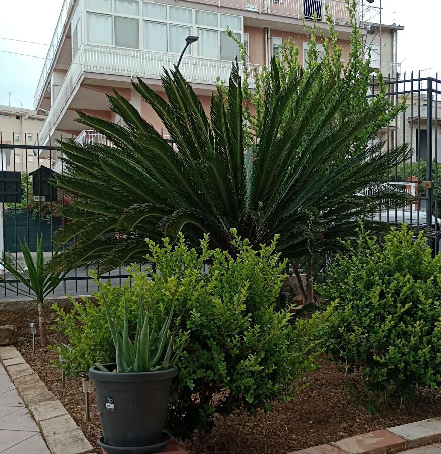 トラビーア La Cycas Bed & Breakfast エクステリア 写真